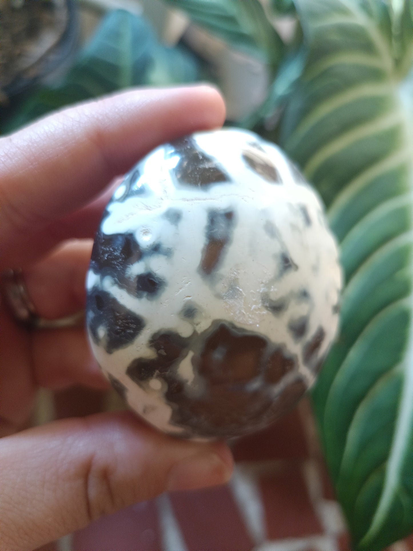 Orca Agate Palmstone H