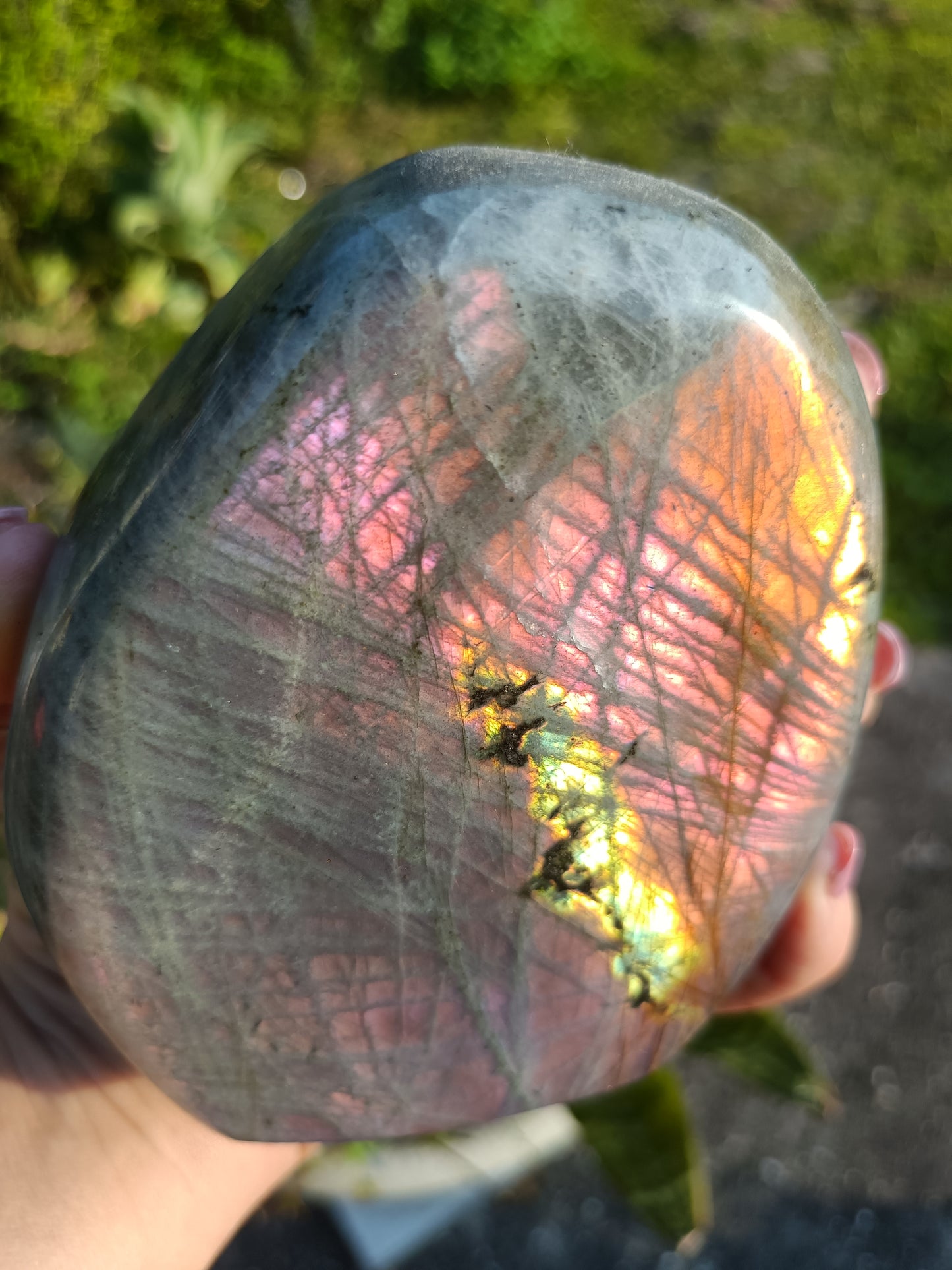 Sunset Labradorite Freeform P5
