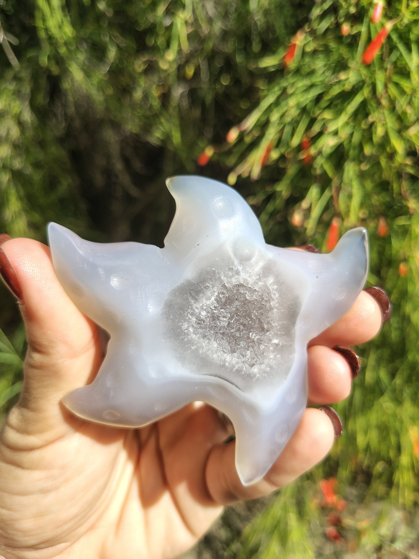 Starfish Agate Crystal Carving