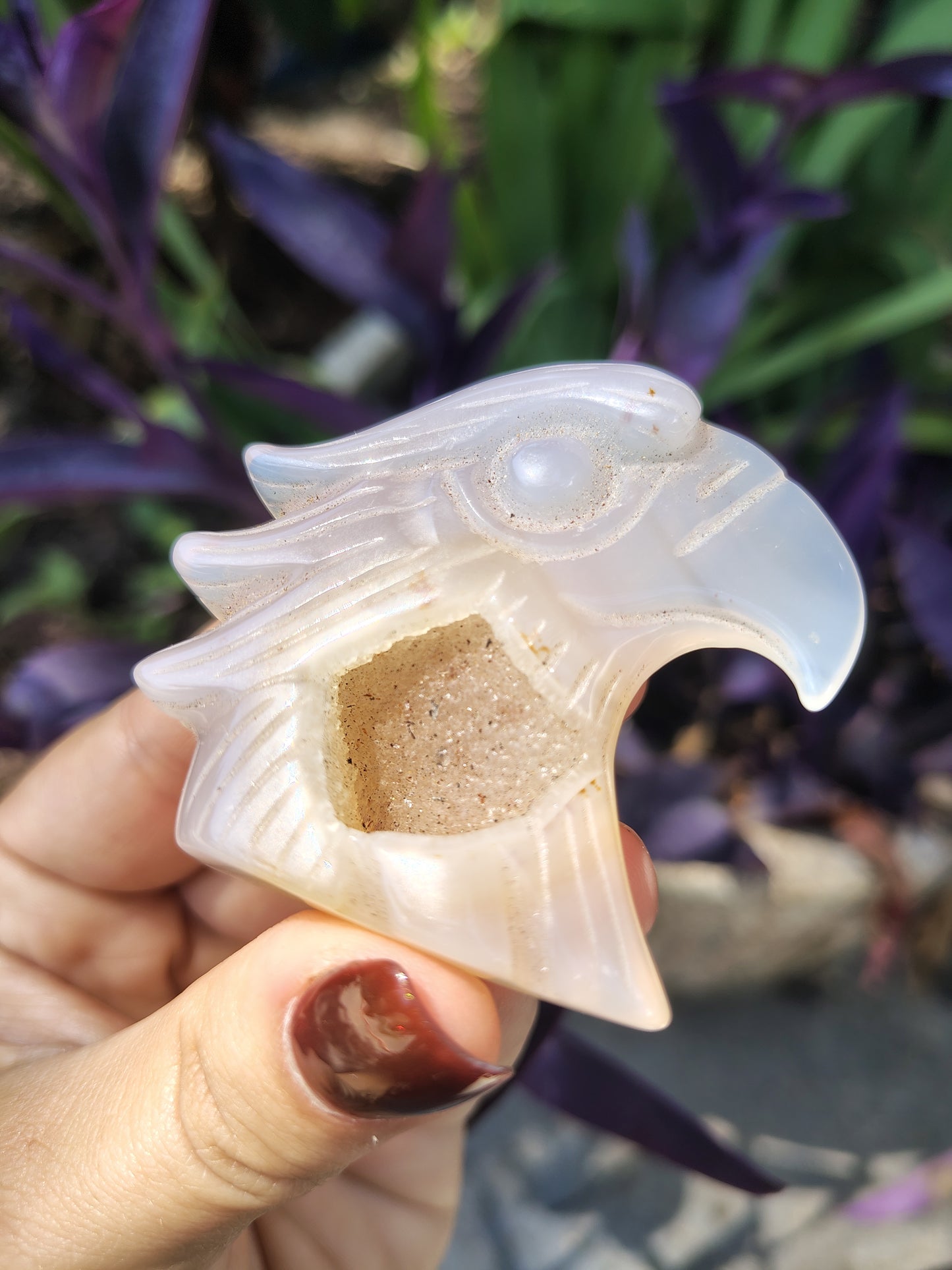 Agate Eagle with cave druzy #3