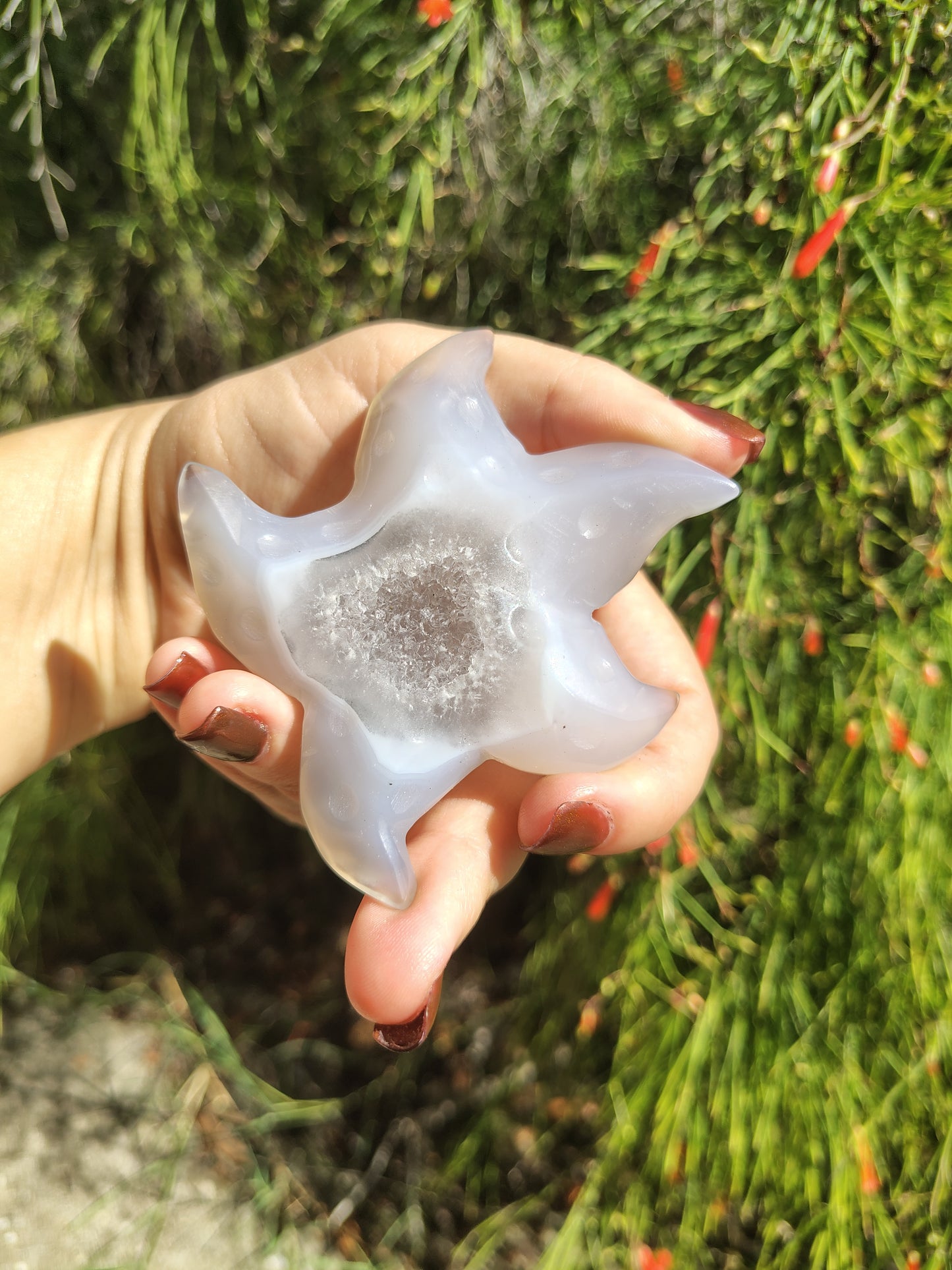 Starfish Agate Crystal Carving