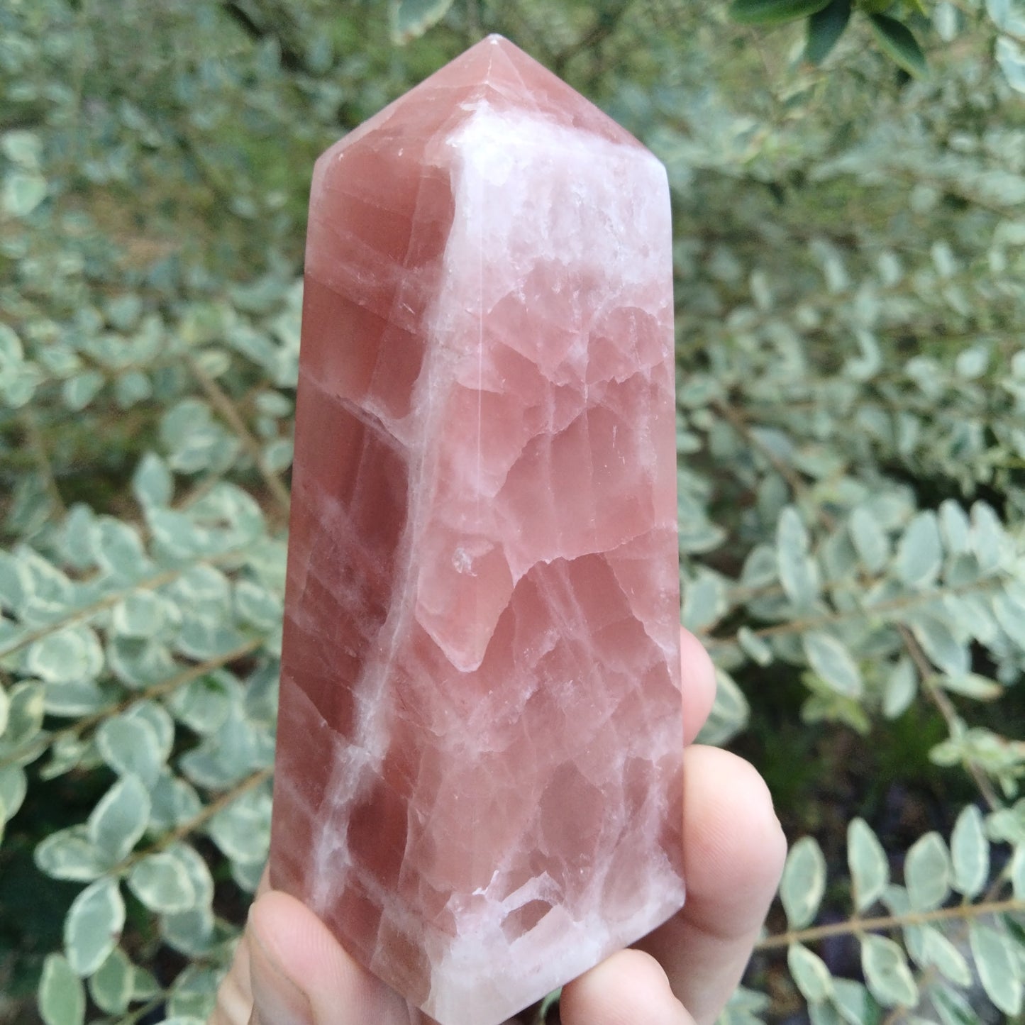 Pink Rose Calcite