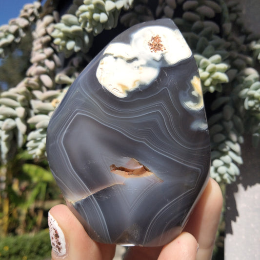 Orca Agate Flame with bands 9
