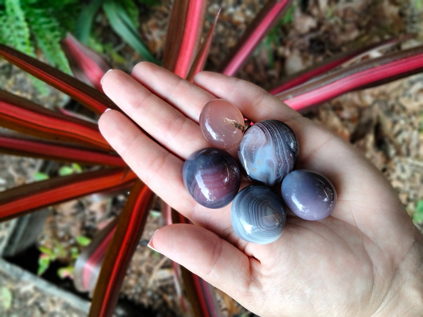 Banded Agate Tumbles sm Palmstone (5 for 19)