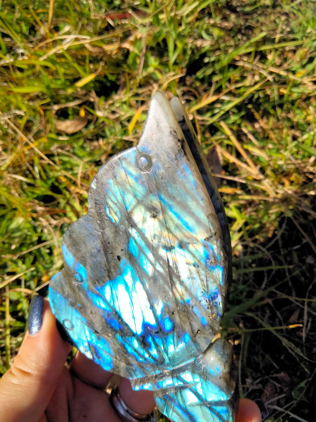 Labradorite Fairy