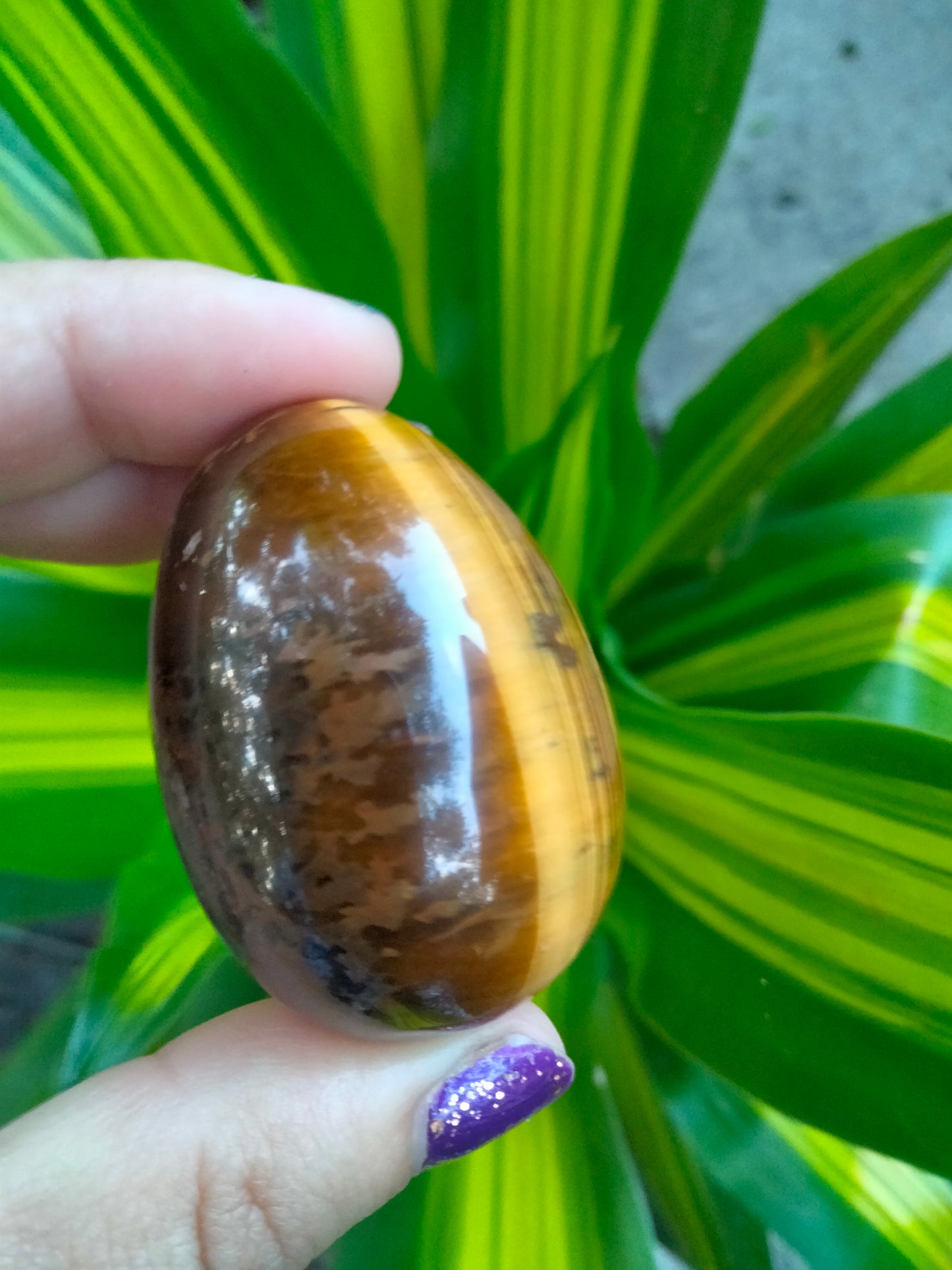 Tiger Eye Crystal Egg