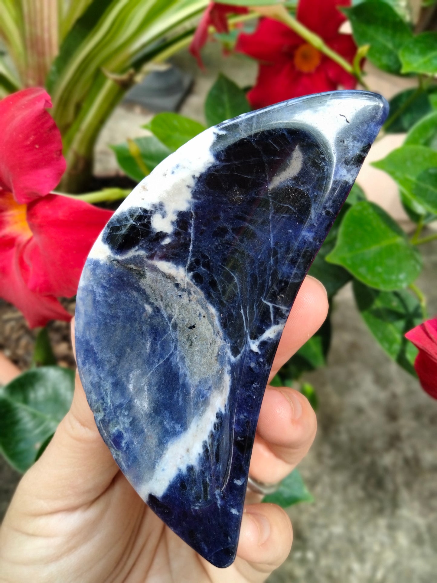 Sodalite Moon Bowl