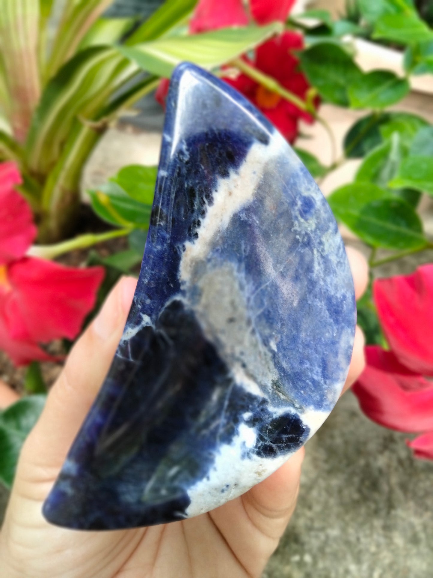 Sodalite Moon Bowl