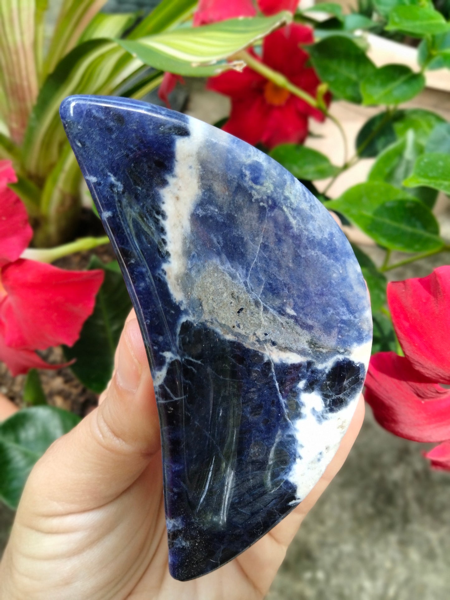 Sodalite Moon Bowl