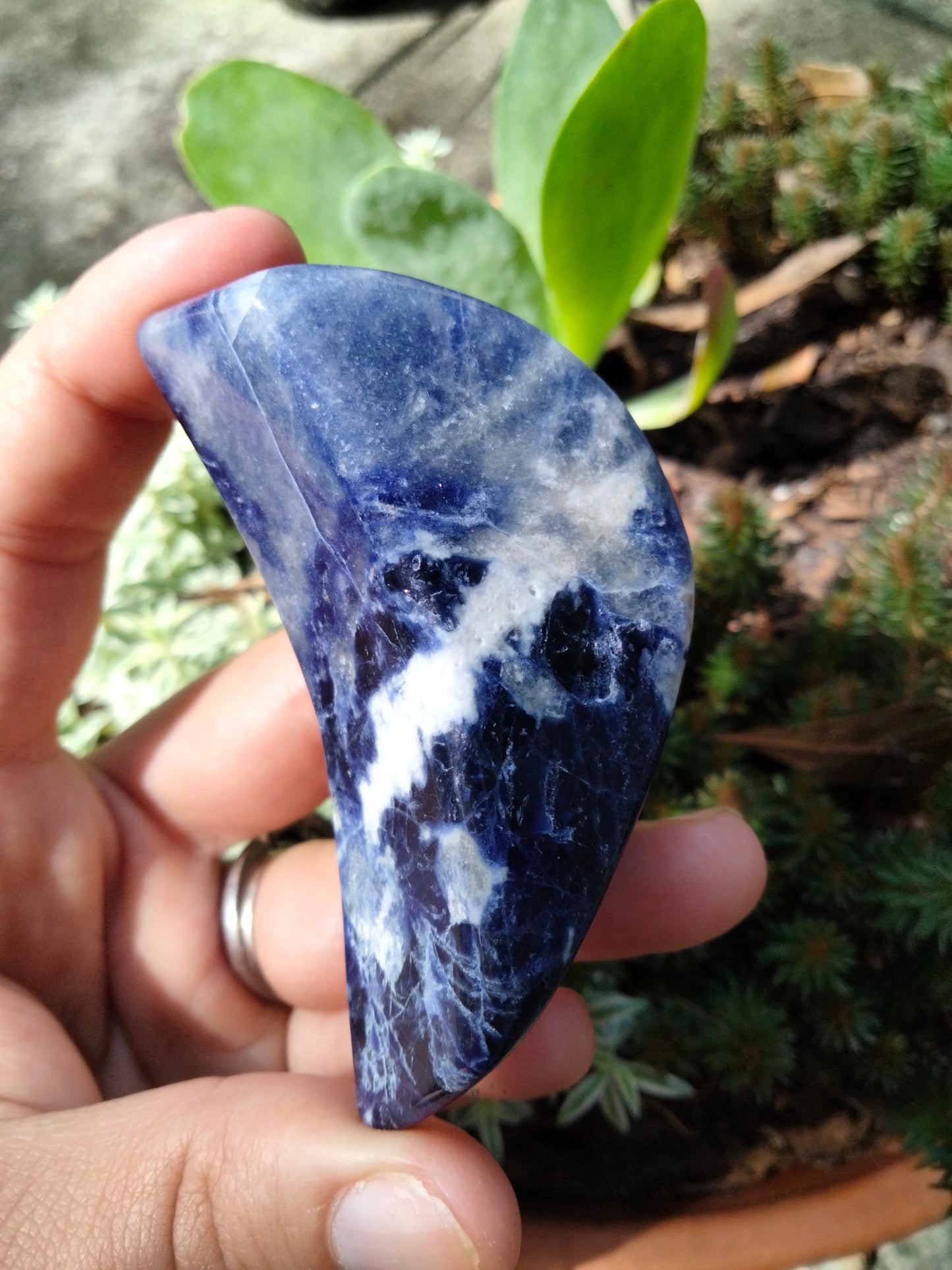 Sodalite Moon Bowl
