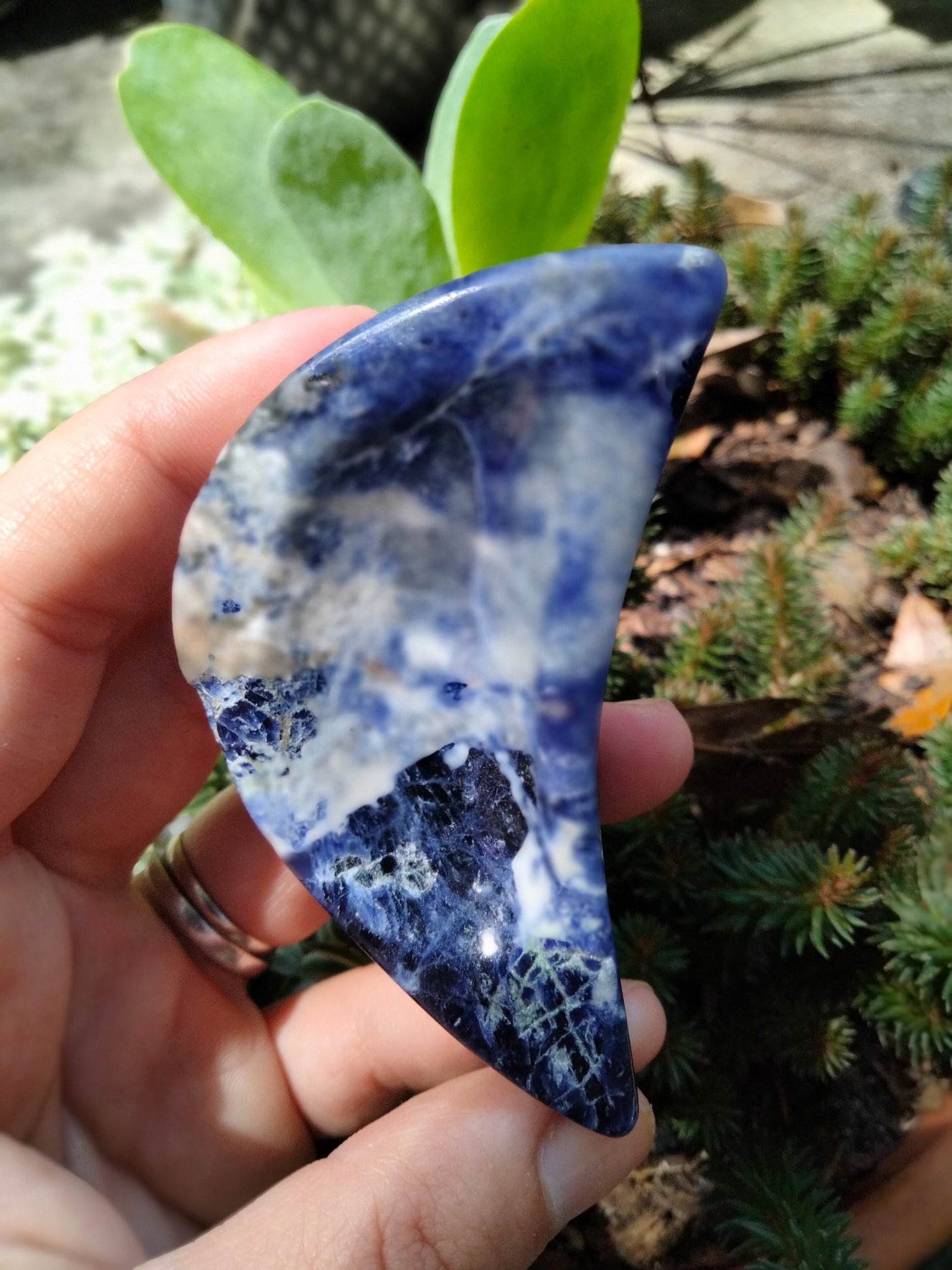 Sodalite Moon Bowl