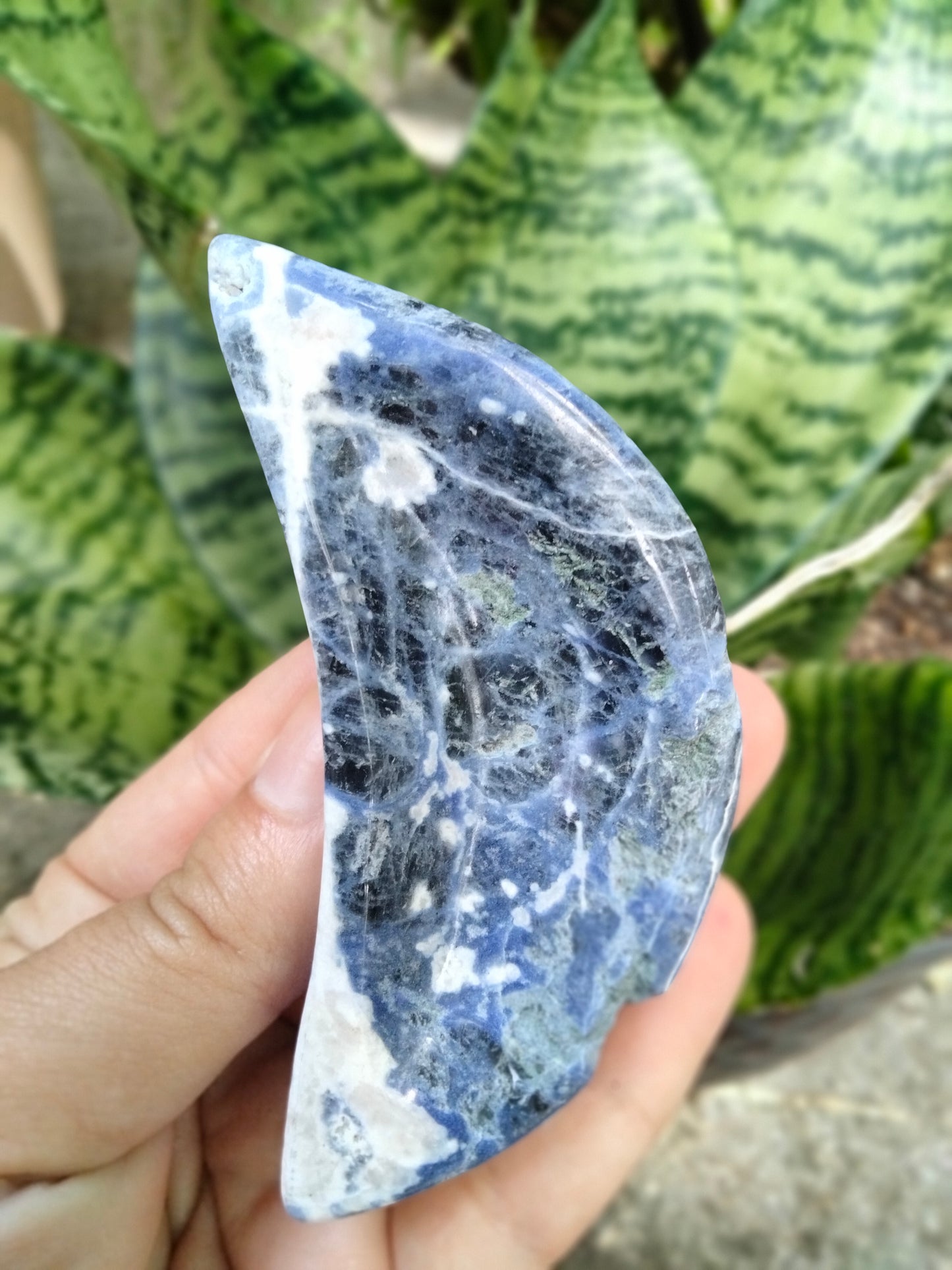 Sodalite Moon Bowl