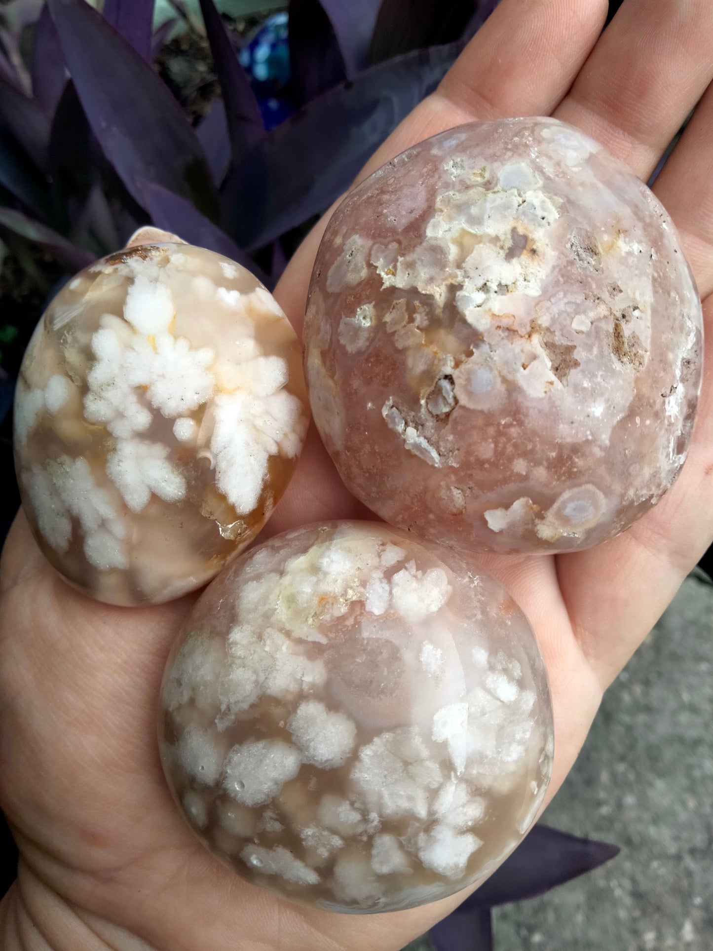 Flower Palmstone