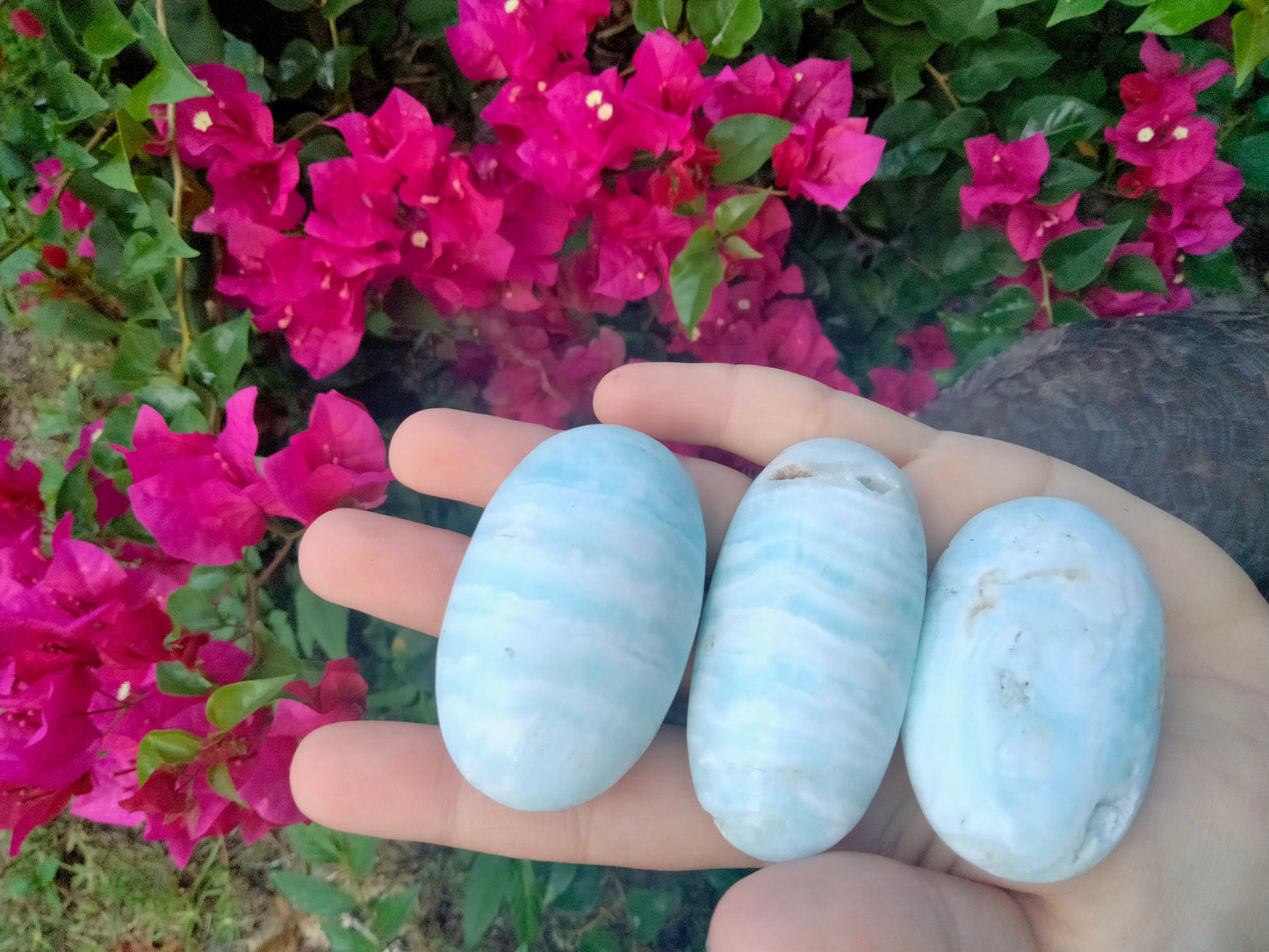 Aragonite Palmstone