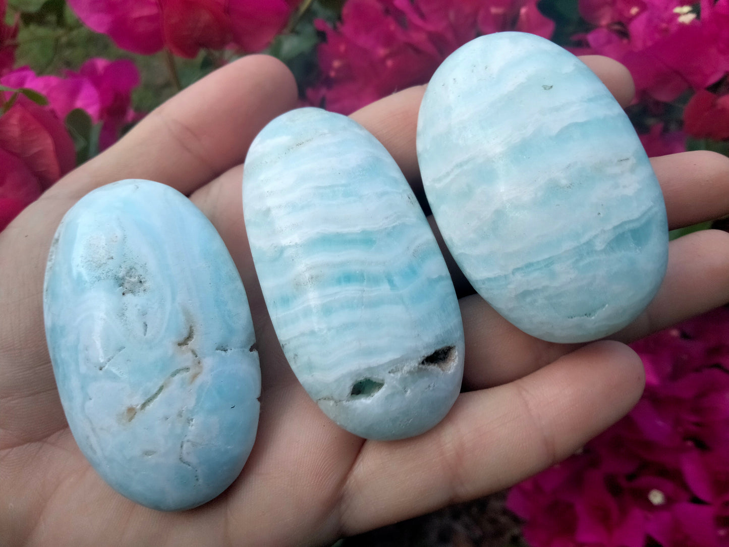 Aragonite Palmstone
