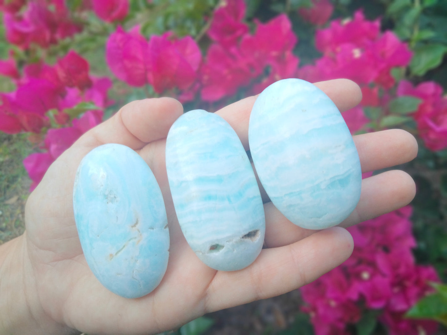 Aragonite Palmstone