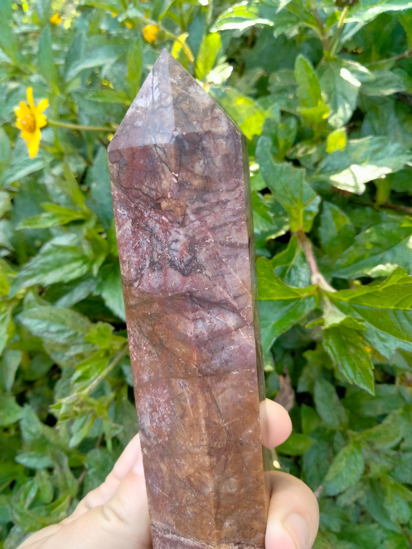 Cherry Creek Jasper Tower