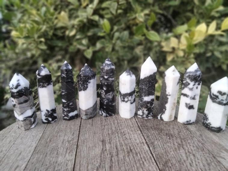 Zebra Jasper point