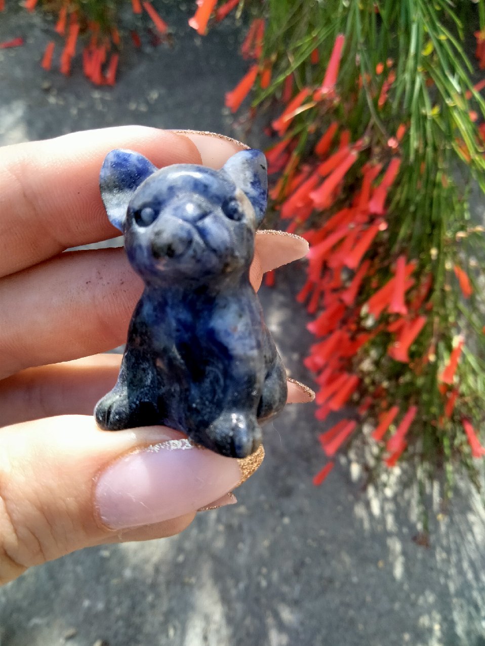 Sodalite French Bulldog Crystal Carving