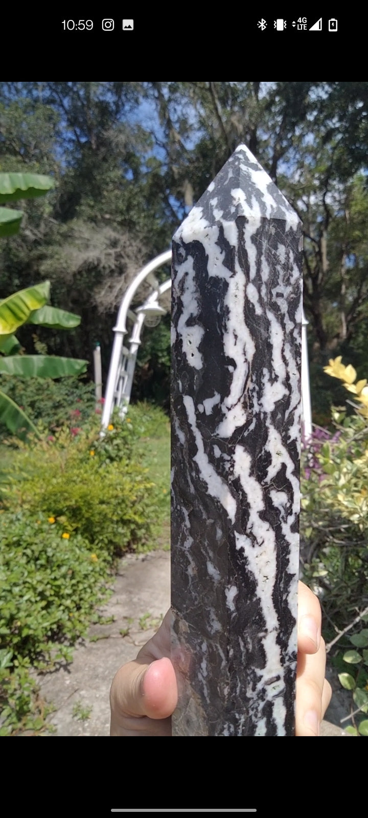 Zebra Jasper Tower x large