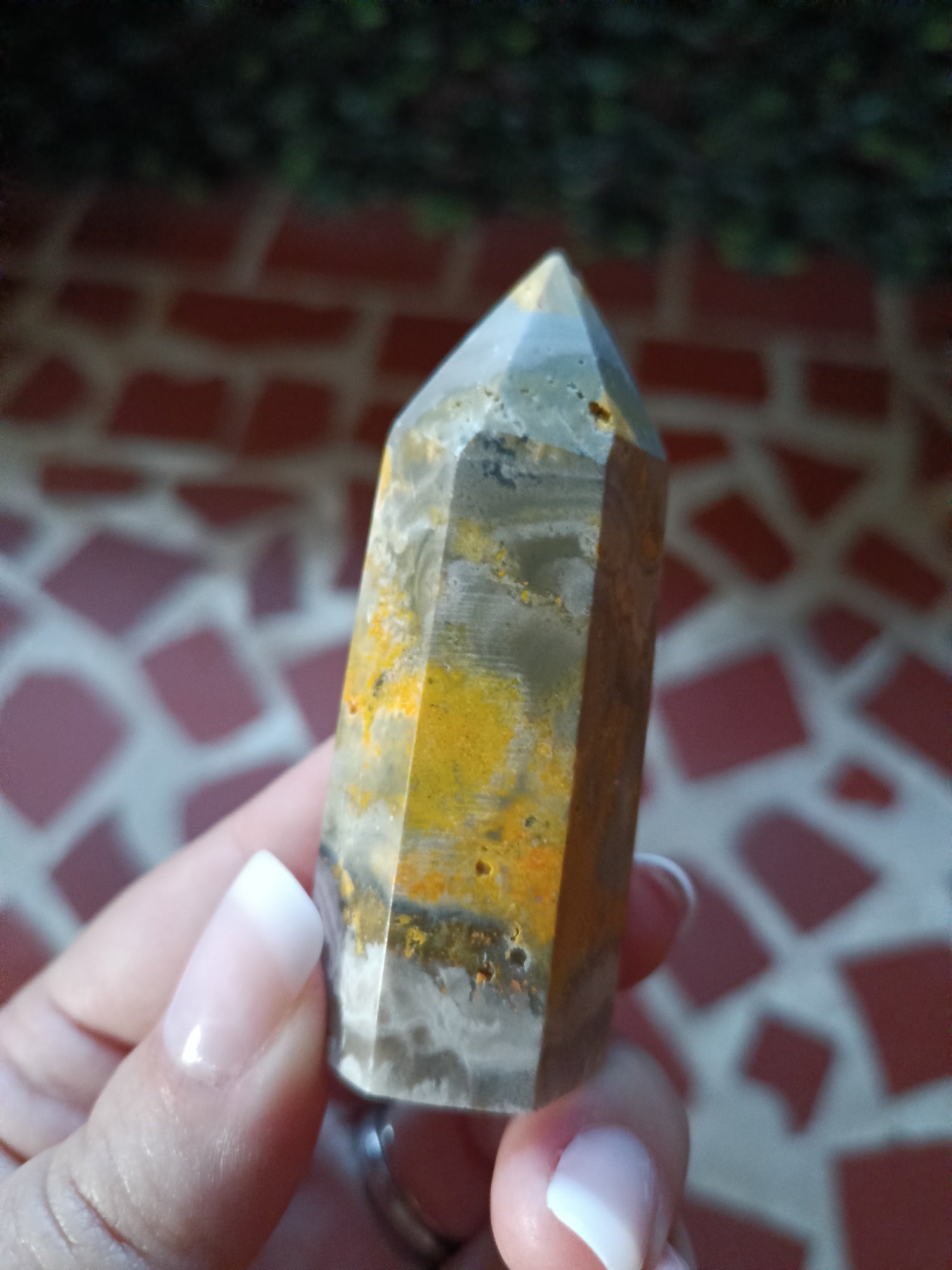 Bumblebee Jasper