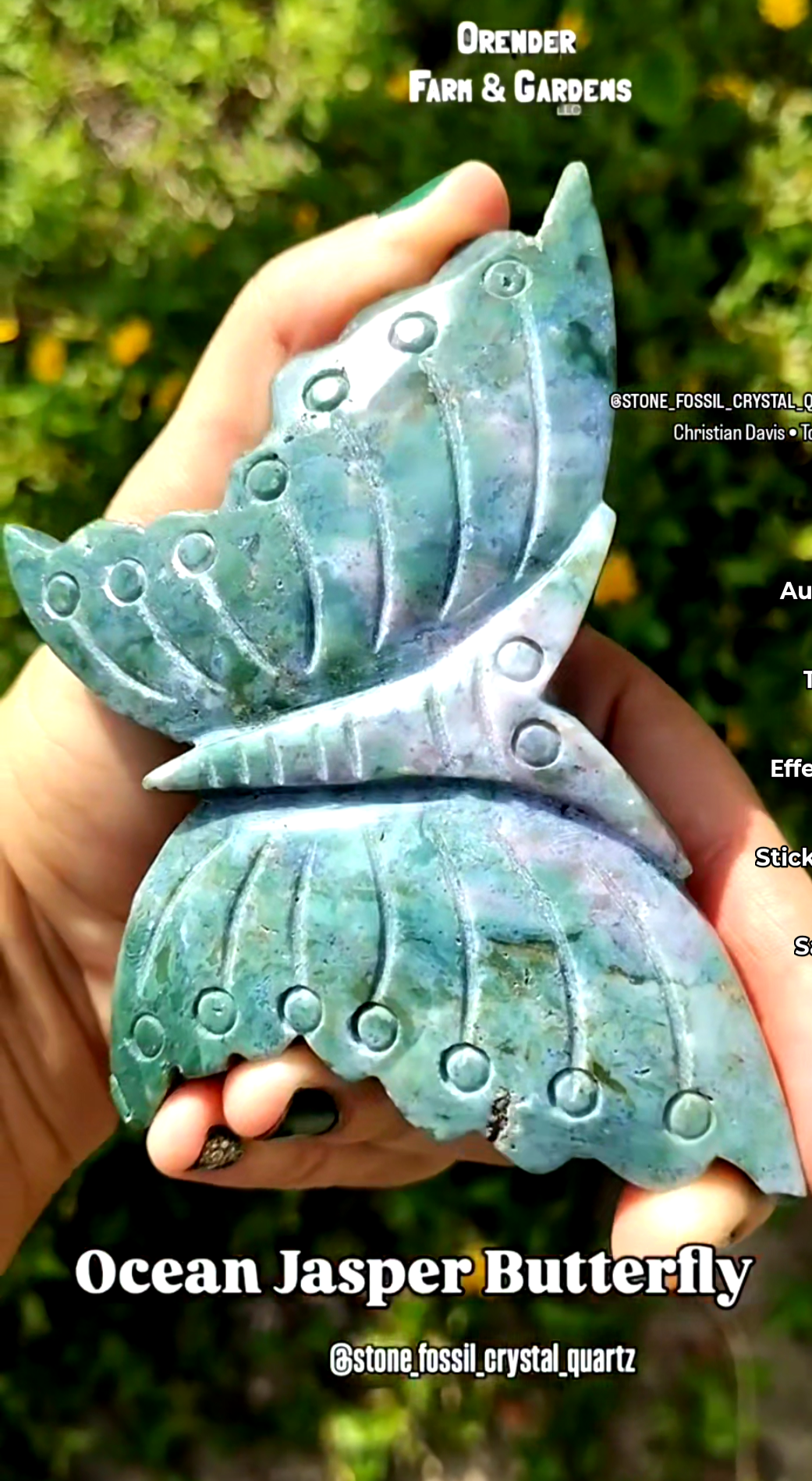 Butterfly & Moth Crystals