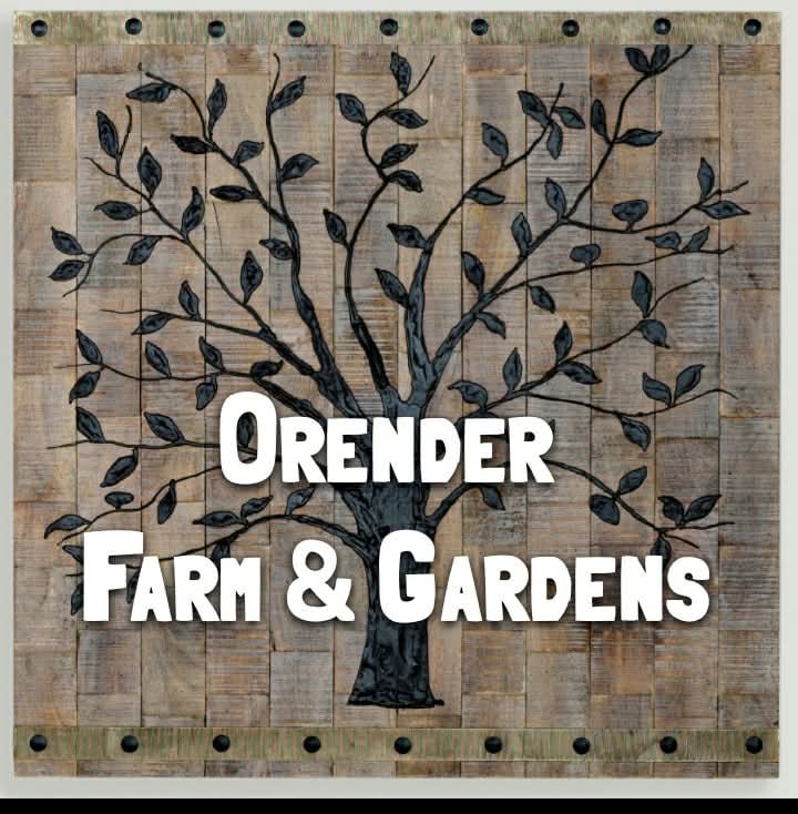 French bulldog puppy down payment Charlie