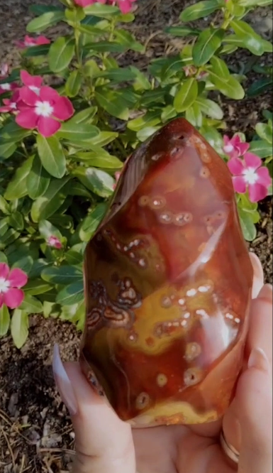 Mookiate infused Carnelian Jasper Flame