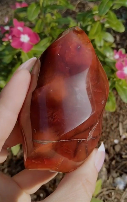 Mookiate infused Carnelian Jasper Flame