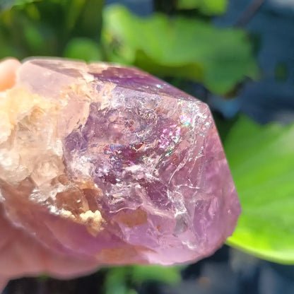Amethyst Piller Brazil