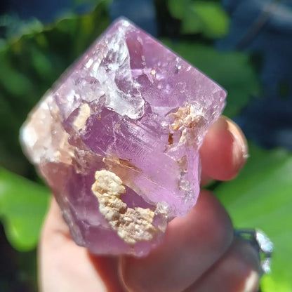 Amethyst Piller Brazil