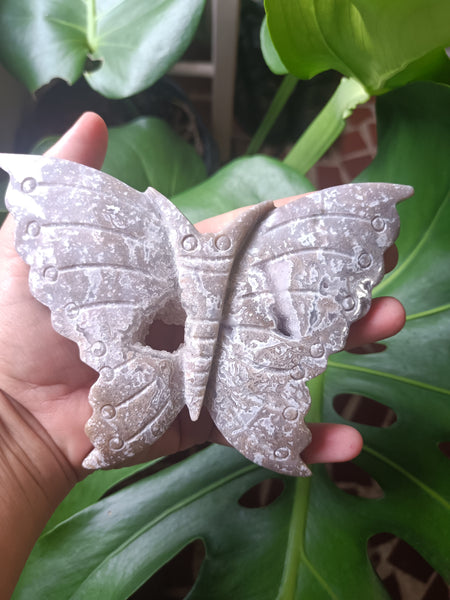 Ocean Jasper Crystal Butterfly Carving with cave Druzy