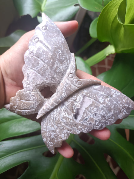 Ocean Jasper Crystal Butterfly Carving with cave Druzy