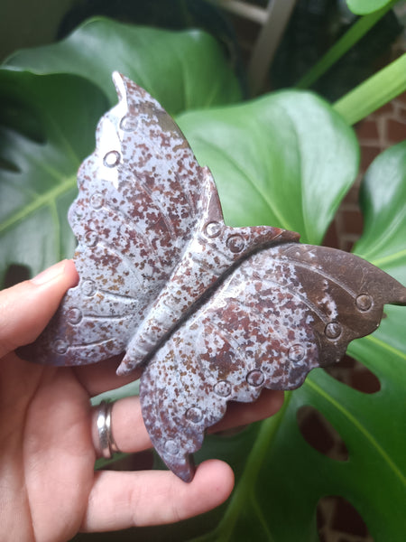 Ocean Jasper Crystal Butterfly Carving