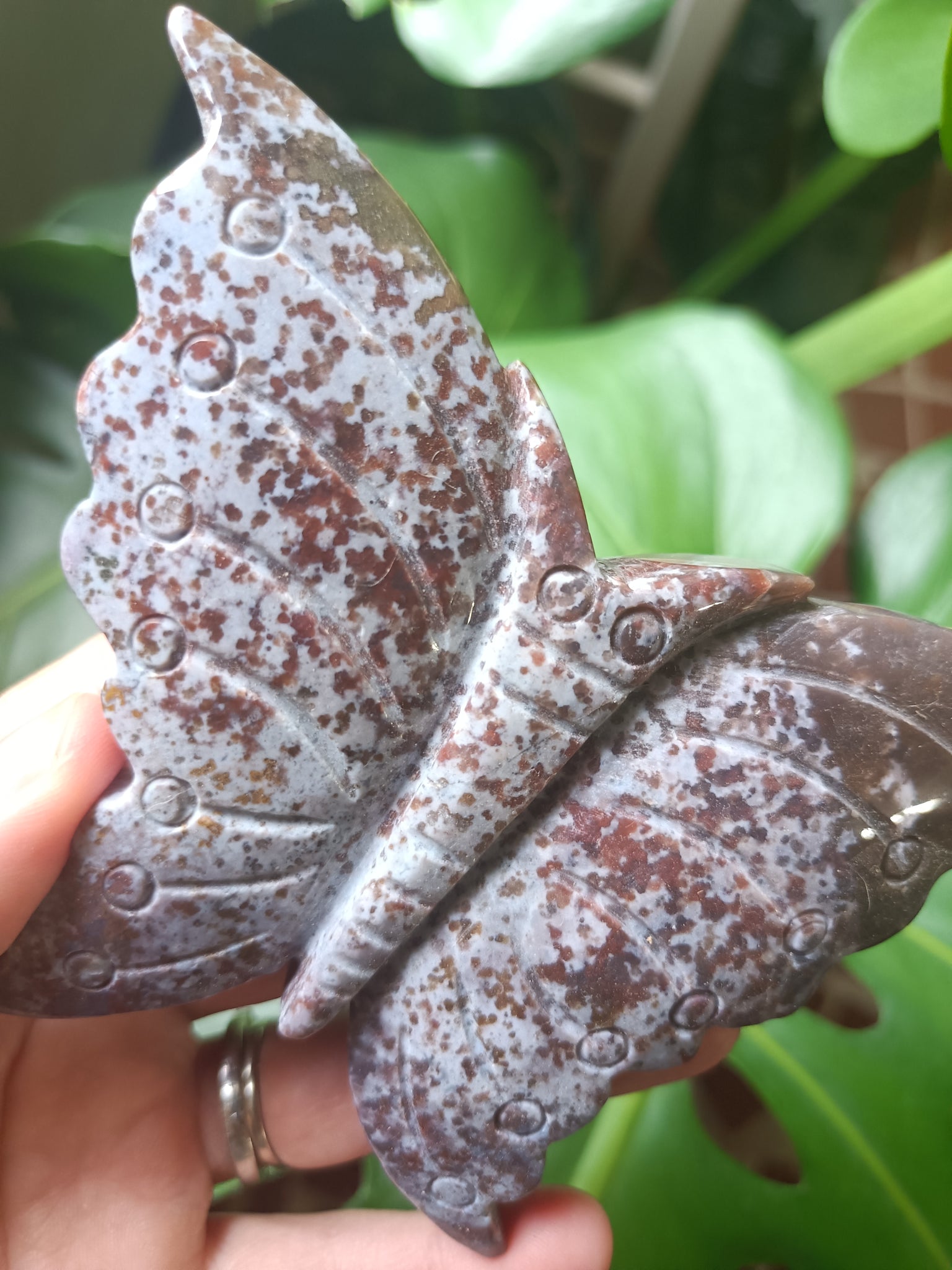 Ocean Jasper Crystal Butterfly Carving