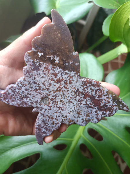 Ocean Jasper Crystal Butterfly Carving