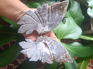 Ocean Jasper Crystal Butterfly carving with stand