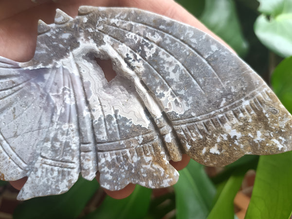 Ocean Jasper Crystal Butterfly carving with stand