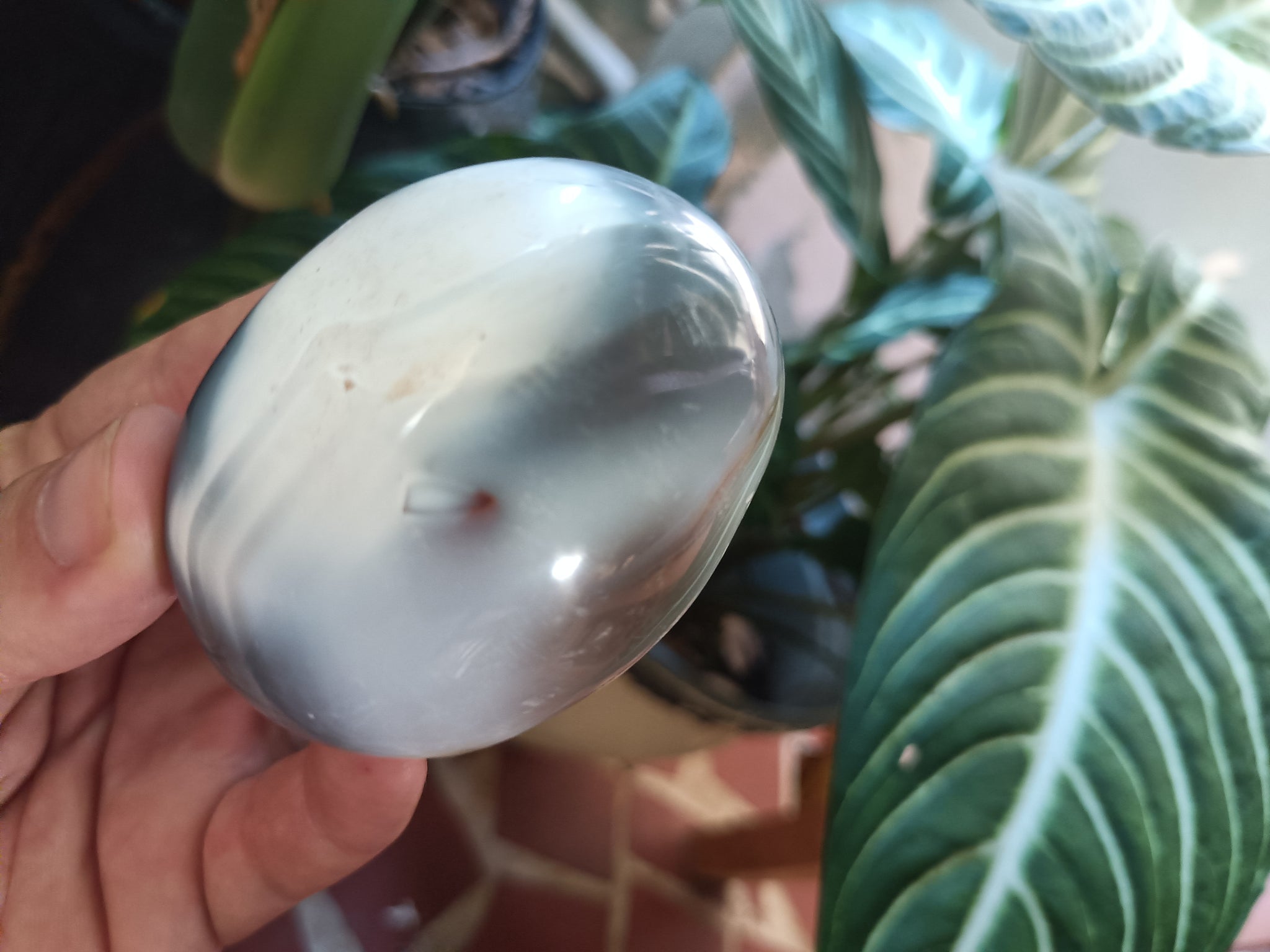 Orca Agate Palmstone C