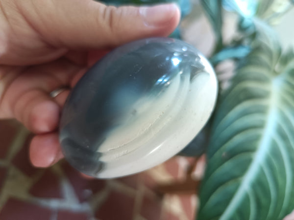 Orca Agate Palmstone C