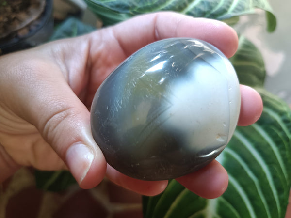 Orca Agate Palmstone D