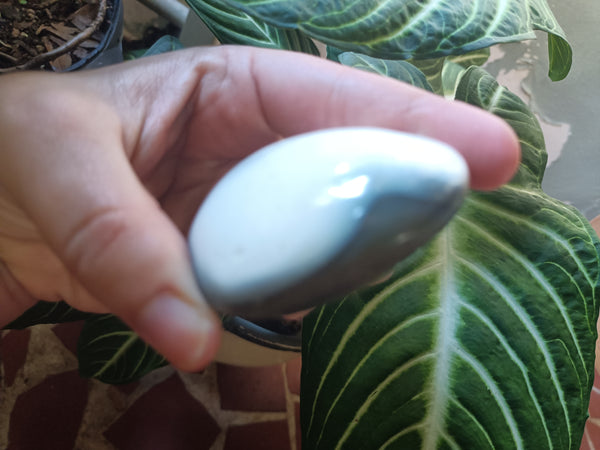 Orca Agate Palmstone D