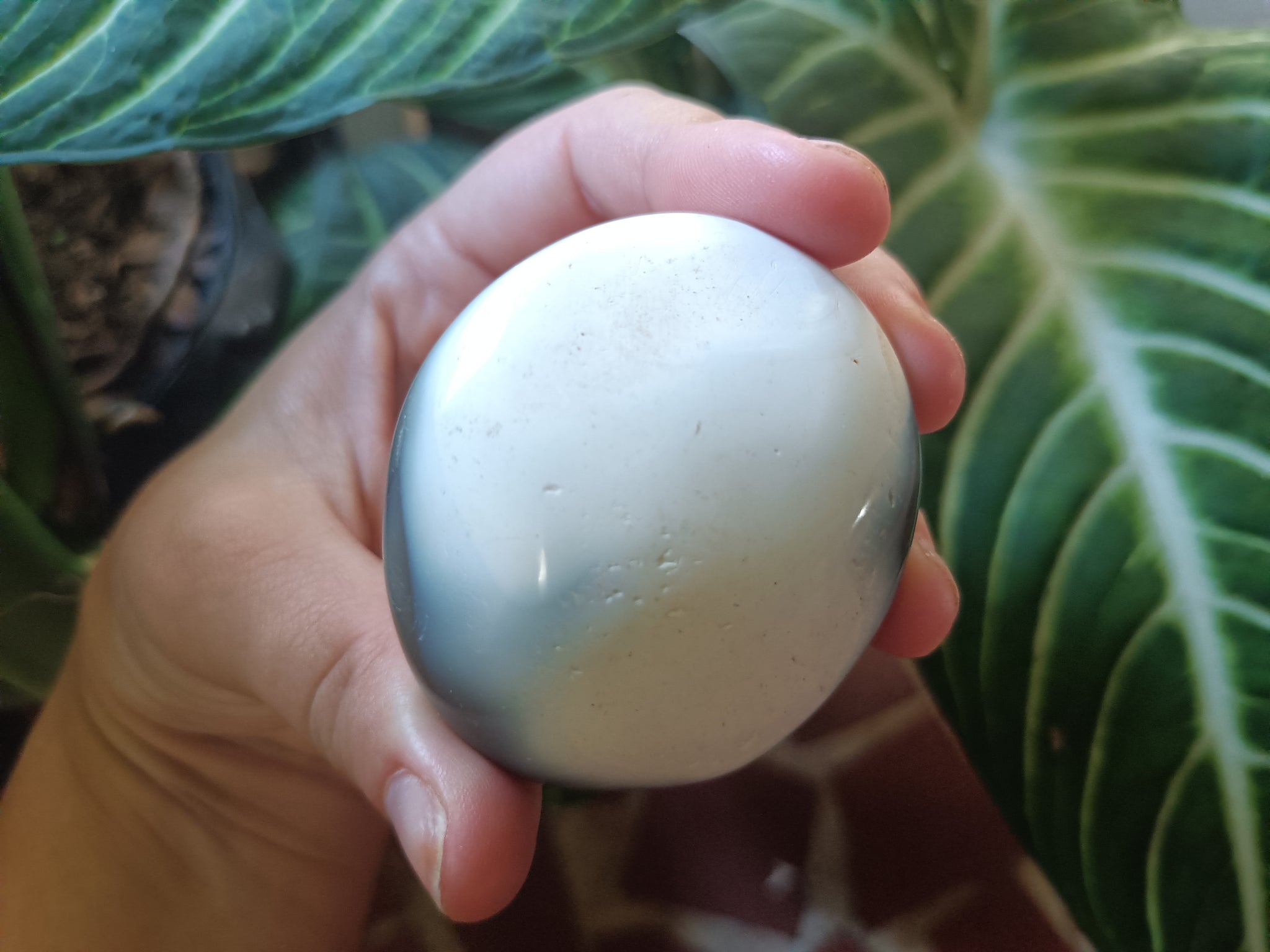 Orca Agate Palmstone D