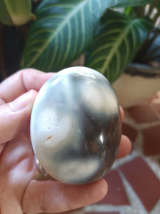 Orca Agate Palmstone E