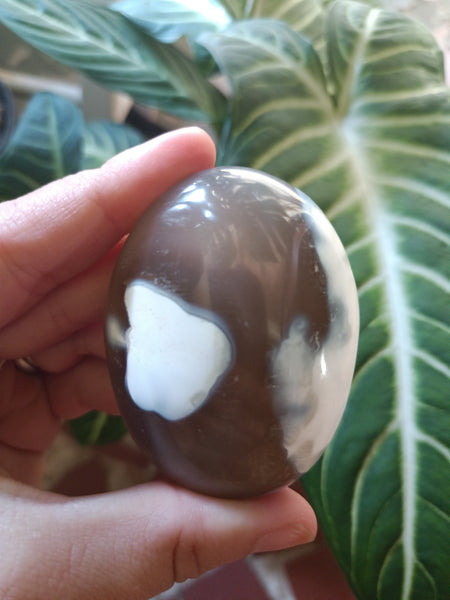 Orca Agate Palmstone F