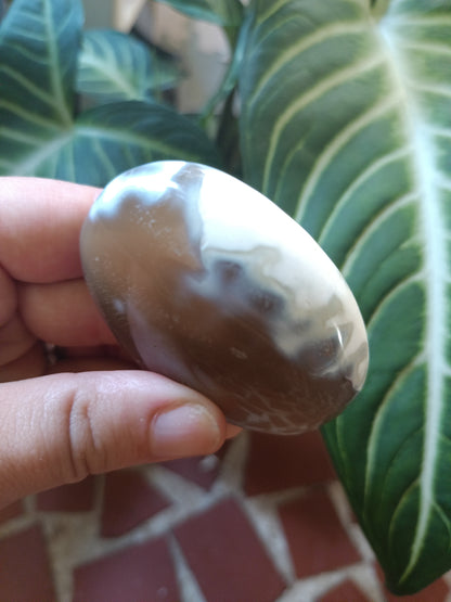 Orca Agate Palmstone F