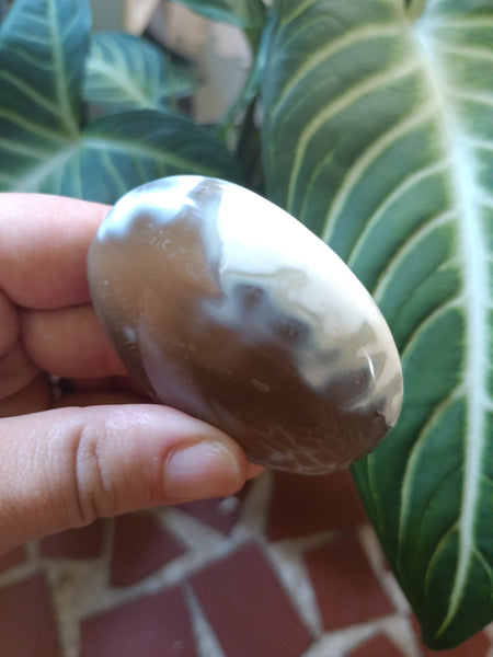 Orca Agate Palmstone F