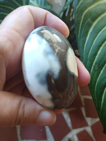 Orca Agate Palmstone F