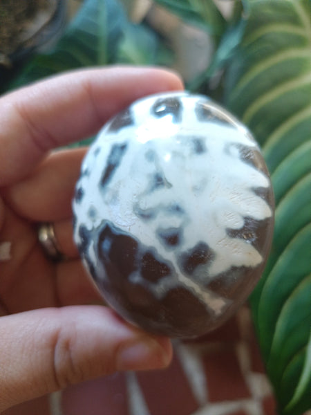 Orca Agate Palmstone H