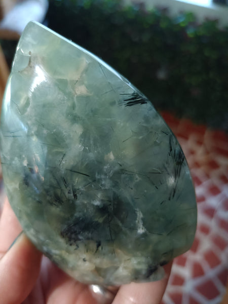 Prehnite Teardrop Freeform